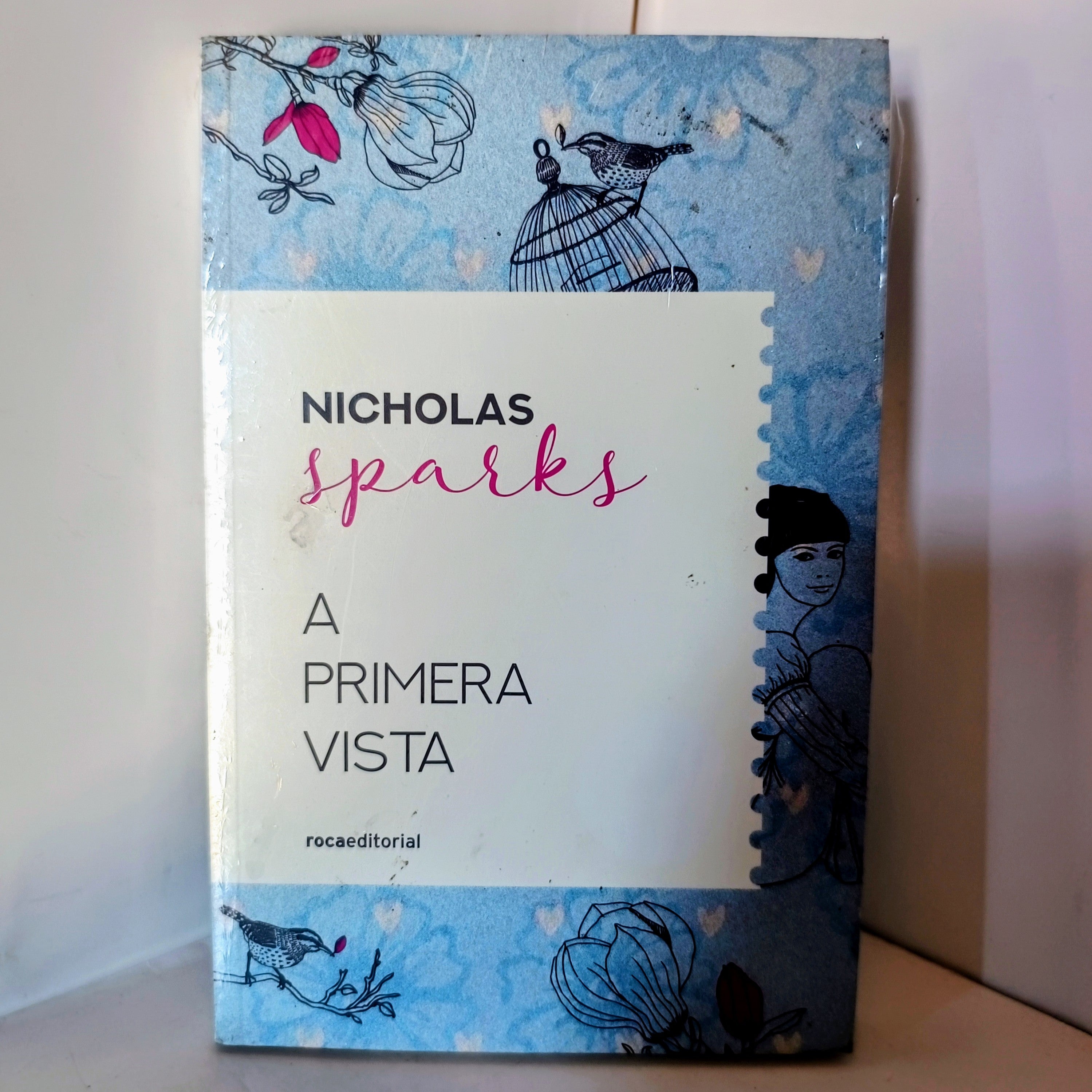 A PRIMERA VISTA NICHOLAS SPARKS