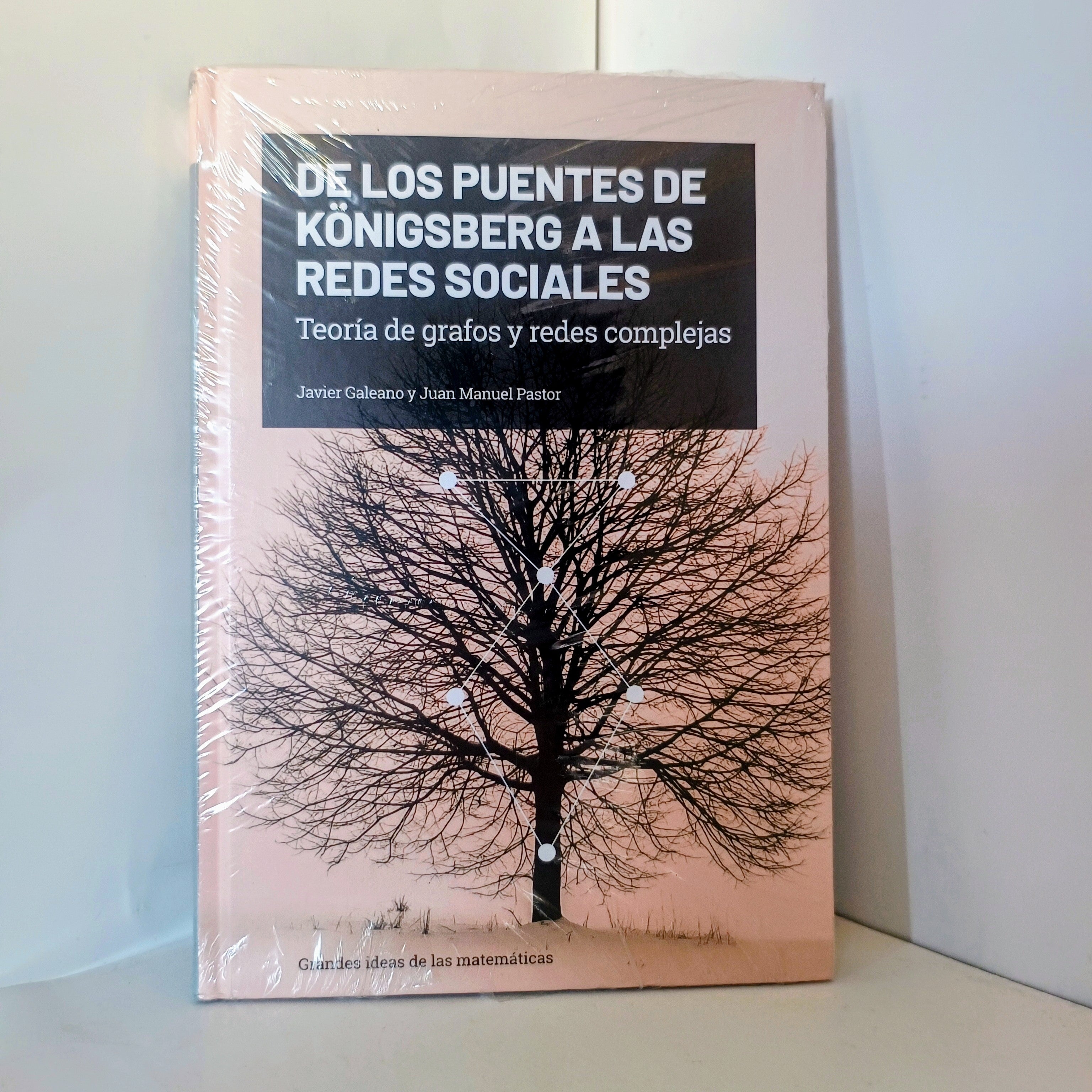 DE LOS PUENTES DE KONIGSBERG A LAS REDES SOCIALES JAVIER GALEANO